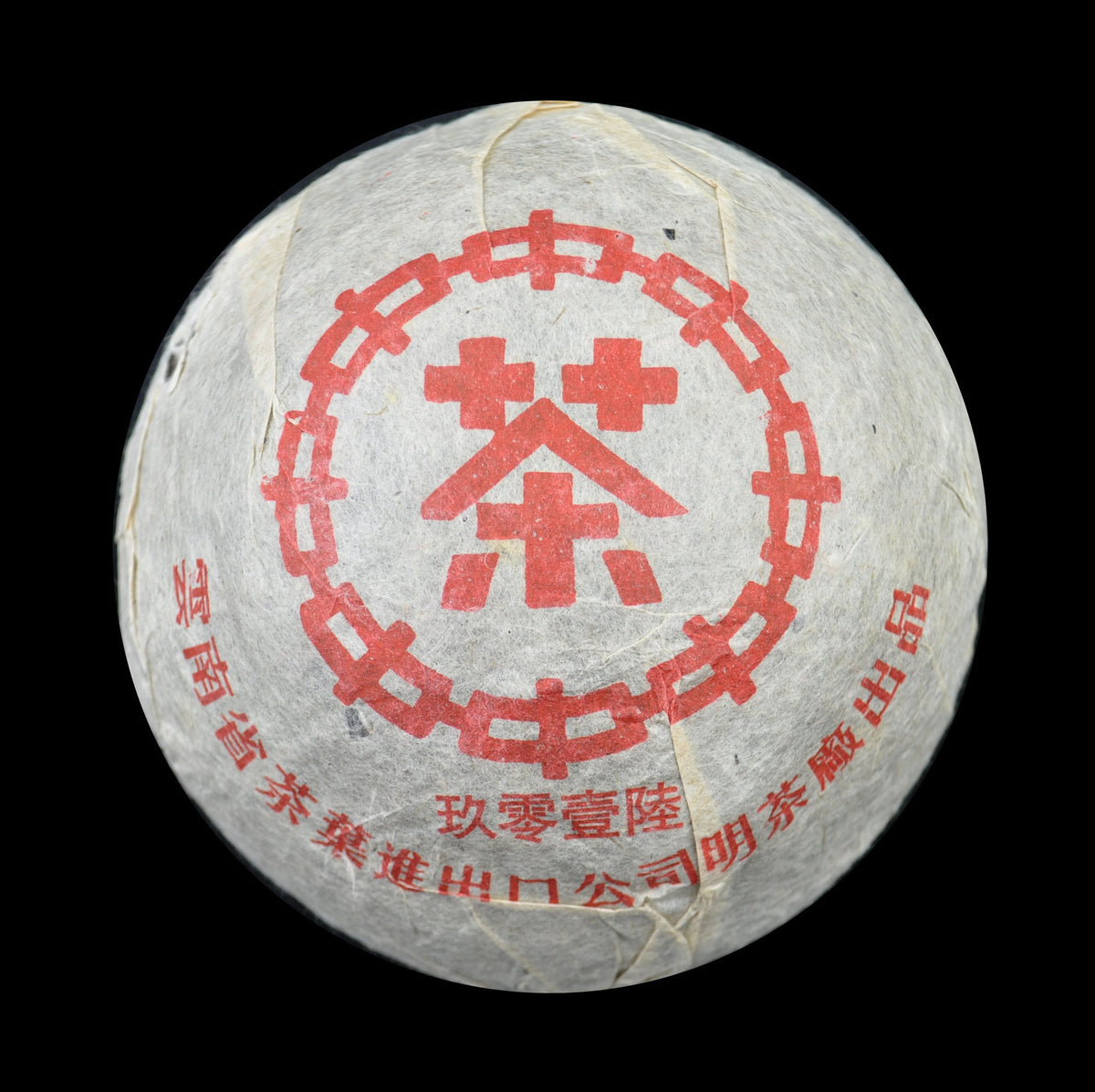 標本 Yunnan China Necydalis s.p 23mm 標本 Yunnan China Necydalis