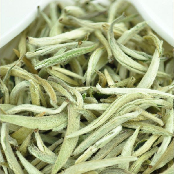 WHITE TEA - The Encyclopedia of Flawless Skin — Blog Nanoil United States