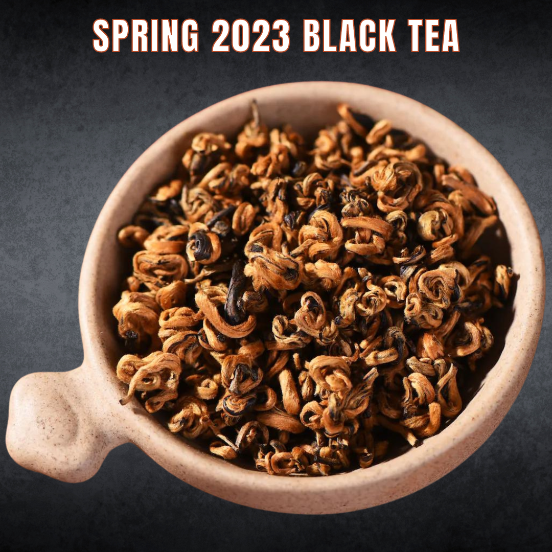 Black Tea - Spring 2023