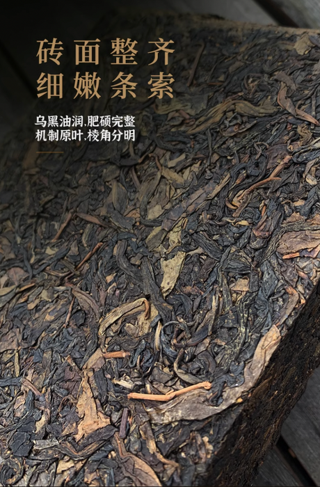 2015 Gao Jia Shan "Yi Pin Fu" Wild Harvested Hunan Tian Fu Brick Tea