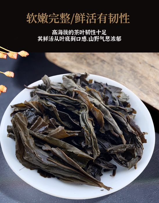 2015 Gao Jia Shan "Yi Pin Fu" Wild Harvested Hunan Tian Fu Brick Tea