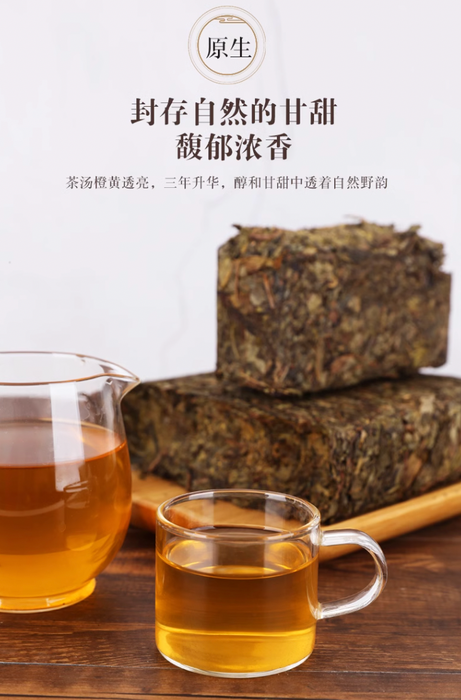 2018 Gao Jia Shan "Da Cang Jia" Wild Harvested Hunan Fu Brick Tea