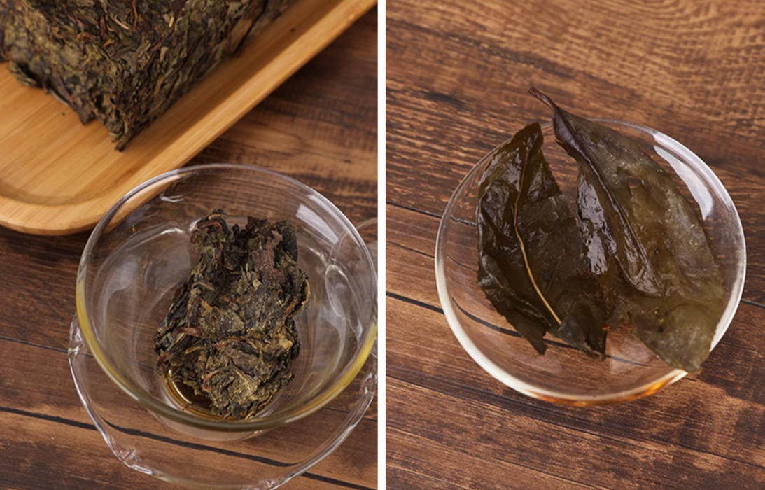 2018 Gao Jia Shan "Da Cang Jia" Wild Harvested Hunan Fu Brick Tea