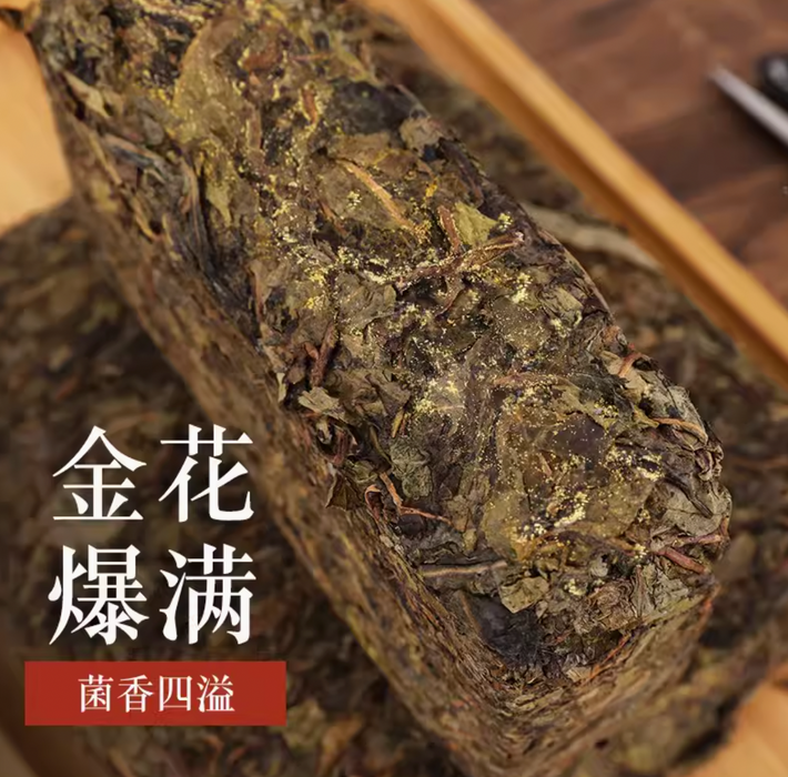 2018 Gao Jia Shan "Da Cang Jia" Wild Harvested Hunan Fu Brick Tea