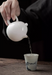 Ice Jade Porcelain "Dragon Egg" Teapot | Yunnan Sourcing Tea Shop