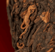 2023 Menghai 7452 Ripe Pu-erh Tea Cake | Yunnan Sourcing Tea Shop