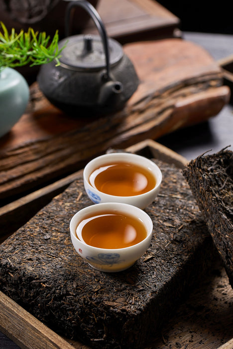 2023 Chen You Shan "Fu Rong Mountain" Black Tea Fu Brick