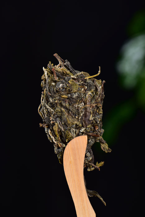 2024 Yunnan Sourcing "Ku Zhu Shan" Raw Pu-erh Tea Cake