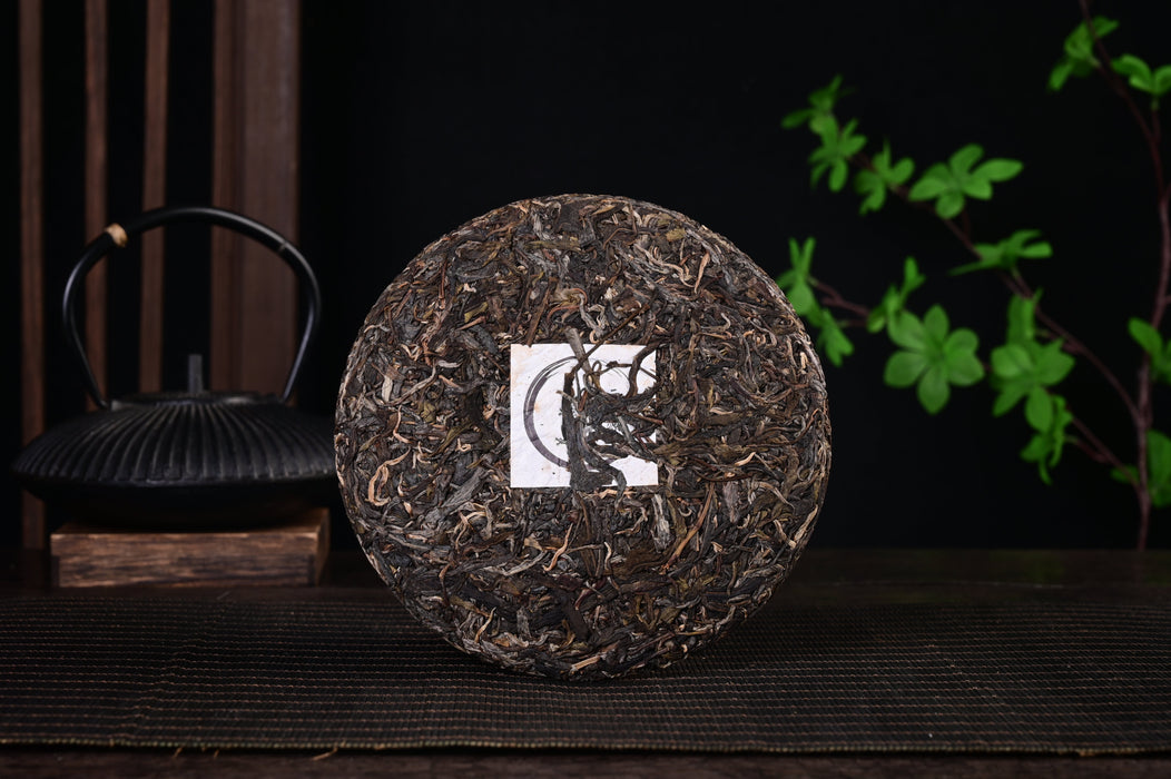 2024 Yunnan Sourcing "Autumn Suan Zao Shu" Old Arbor Raw Pu-erh Tea Cake | Yunnan Sourcing Tea Shop