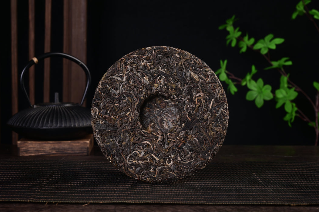 2024 Yunnan Sourcing "Autumn Suan Zao Shu" Old Arbor Raw Pu-erh Tea Cake | Yunnan Sourcing Tea Shop
