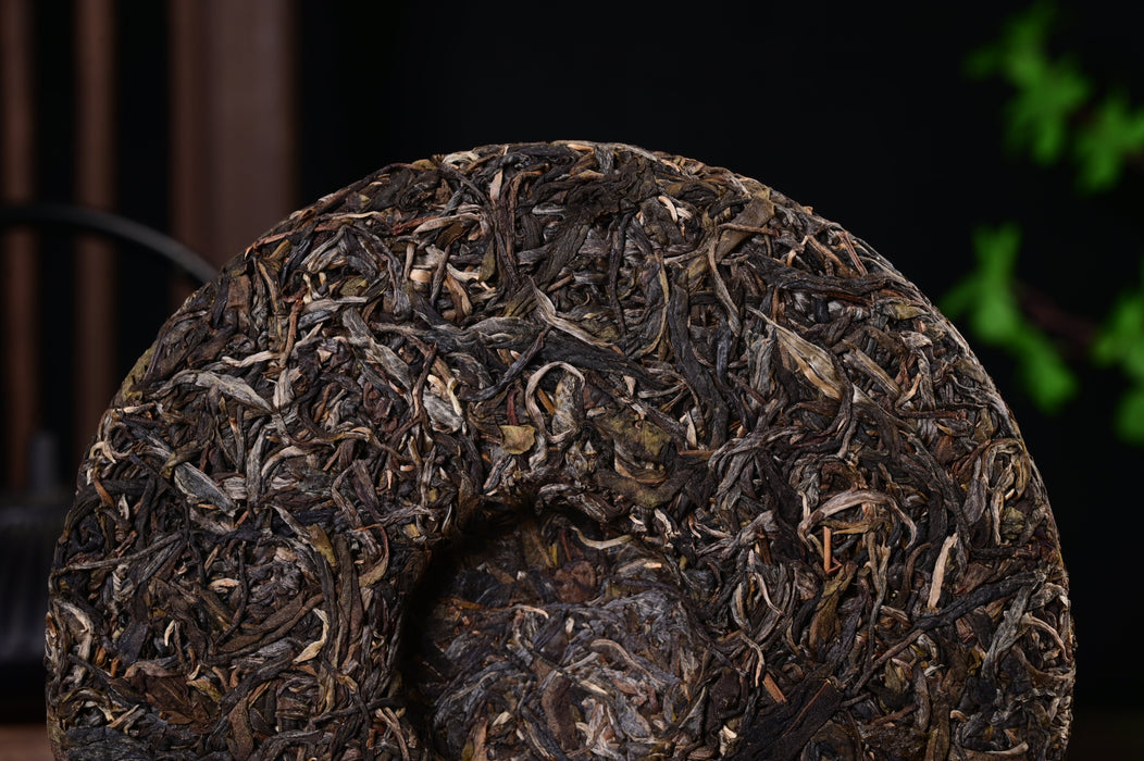 2024 Yunnan Sourcing "Autumn Suan Zao Shu" Old Arbor Raw Pu-erh Tea Cake | Yunnan Sourcing Tea Shop