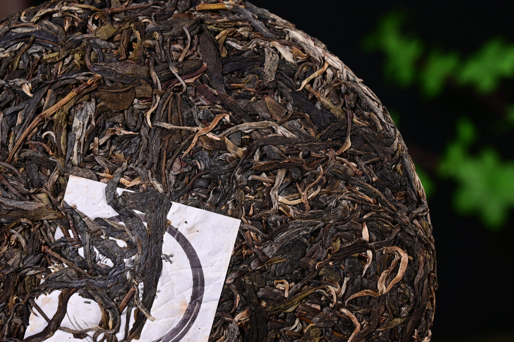 2024 Yunnan Sourcing "Autumn Suan Zao Shu" Old Arbor Raw Pu-erh Tea Cake | Yunnan Sourcing Tea Shop