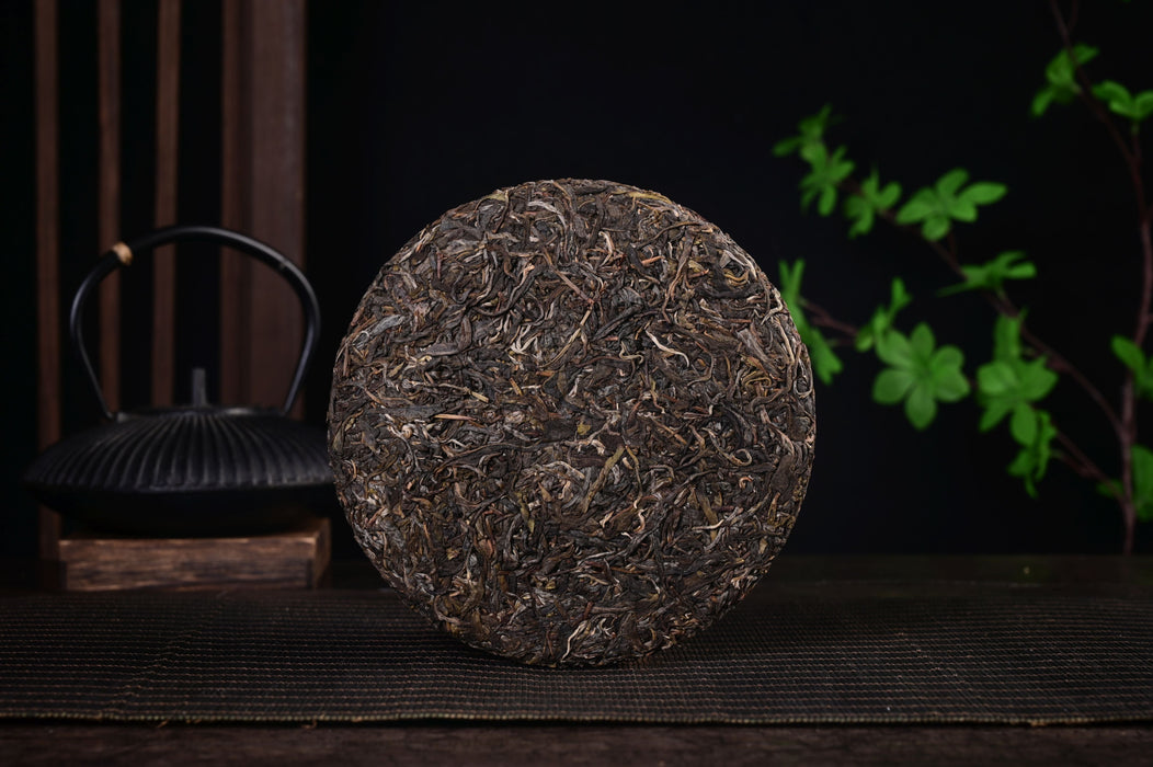 2025 Yunnan Sourcing "Autumn Jiu Tai Po" Old Arbor Raw Pu-erh Tea Cake | Yunnan Sourcing Tea Shop
