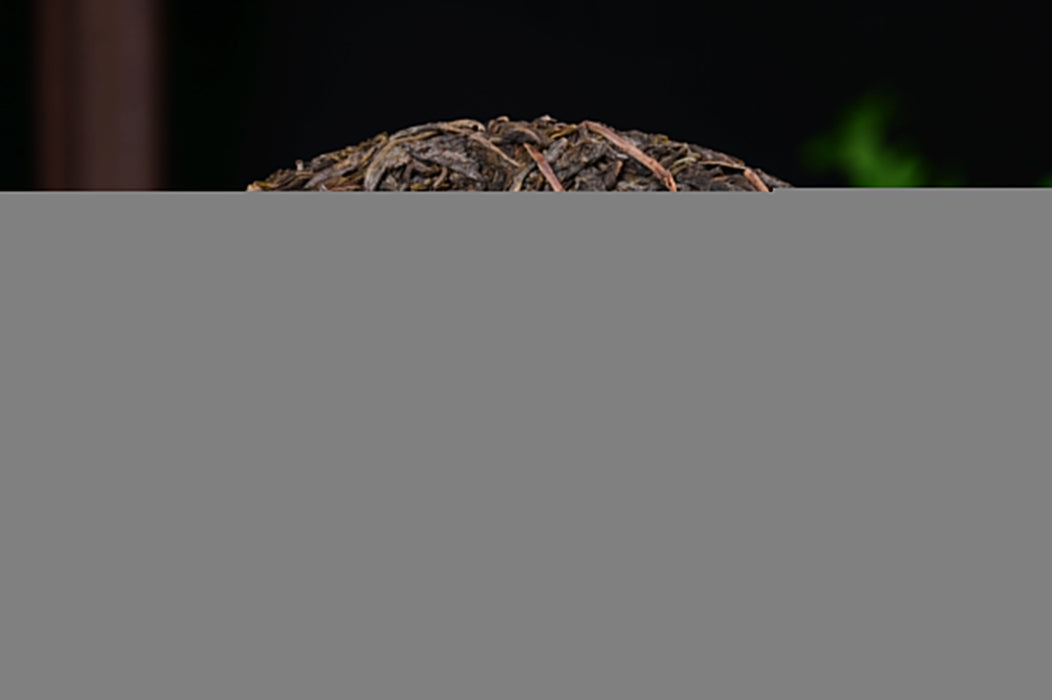 2025 Yunnan Sourcing "Autumn Jiu Tai Po" Old Arbor Raw Pu-erh Tea Cake | Yunnan Sourcing Tea Shop