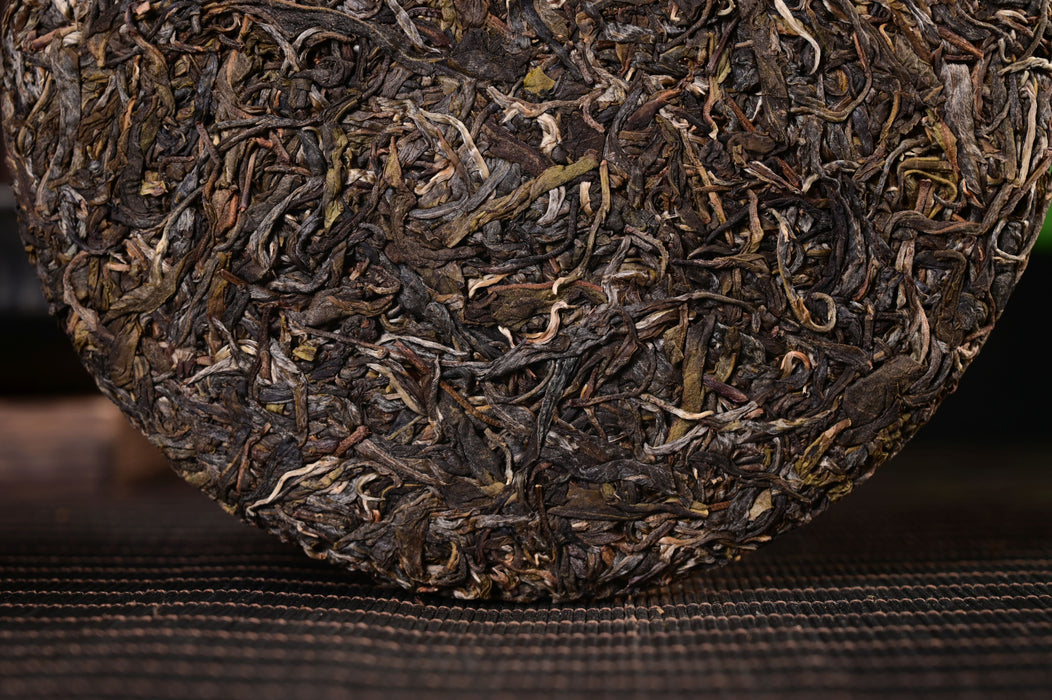 2025 Yunnan Sourcing "Autumn Jiu Tai Po" Old Arbor Raw Pu-erh Tea Cake | Yunnan Sourcing Tea Shop