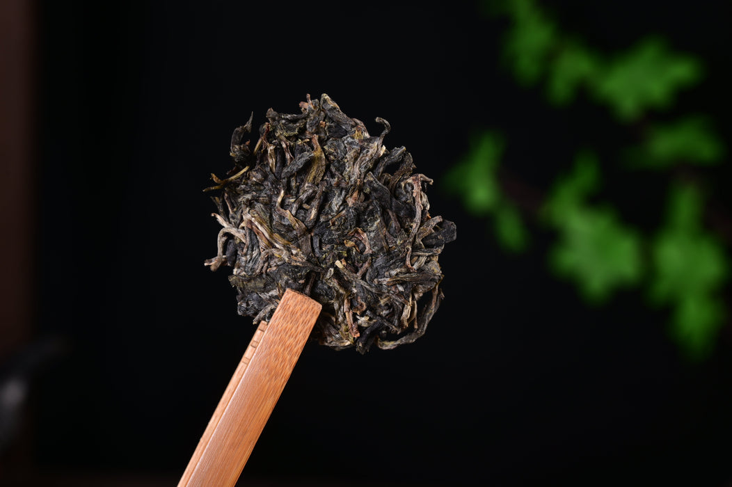 2024 Yunnan Sourcing "Autumn Suan Zao Shu" Old Arbor Raw Pu-erh Tea Cake | Yunnan Sourcing Tea Shop