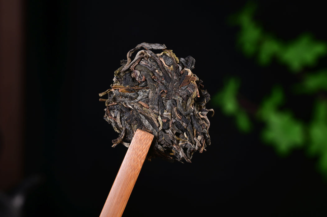 2025 Yunnan Sourcing "Autumn Jiu Tai Po" Old Arbor Raw Pu-erh Tea Cake | Yunnan Sourcing Tea Shop