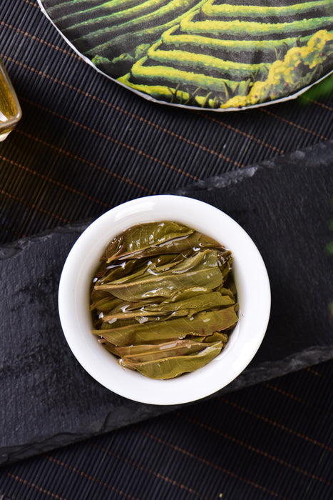 2024 Yunnan Sourcing "Spring Morning" Raw Pu-erh Tea Cake | Yunnan Sourcing Tea Shop