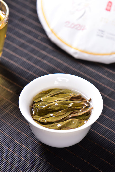 2024 Yunnan Sourcing "Huang Shan Gu Shu" Old Arbor Raw Pu-erh Tea Cake | Yunnan Sourcing Tea Shop