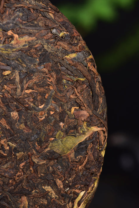 2024 Yunnan Sourcing "Subduer of Dragons" Ripe Raw Pu-erh Tea Cake