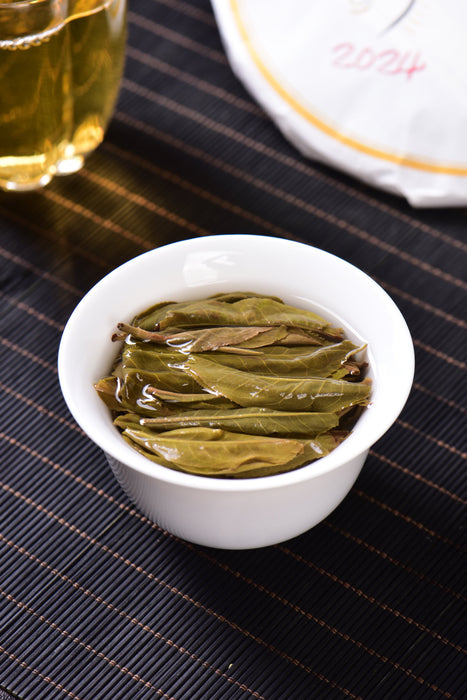 2024 Yunnan Sourcing "Da Qing Gu Shu" Raw Pu-erh Tea Cake | Yunnan Sourcing Tea Shop