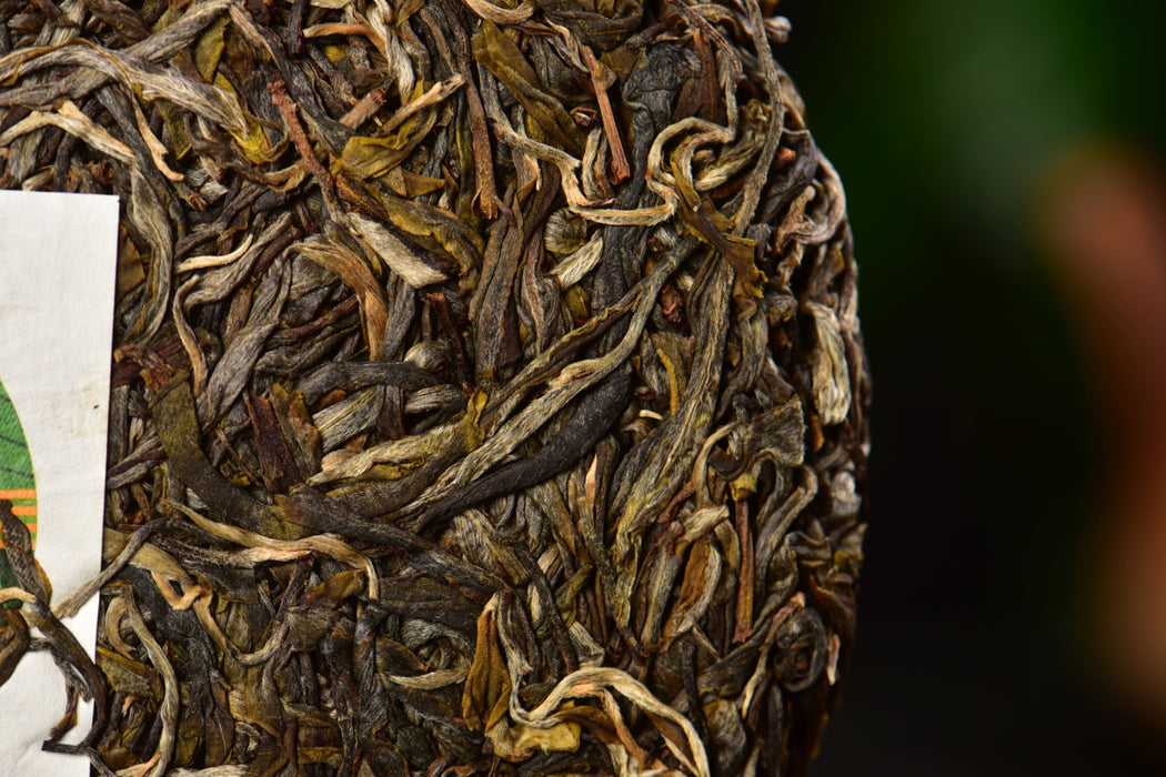 2025 Yunnan Sourcing "Meng Zhu Da Shan" Old Arbor Raw Pu-erh Tea Cake | Yunnan Sourcing Tea Shop