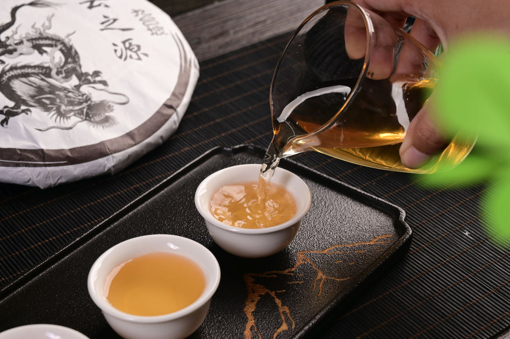 2025 Yunnan Sourcing "Autumn Jiu Tai Po" Old Arbor Raw Pu-erh Tea Cake | Yunnan Sourcing Tea Shop