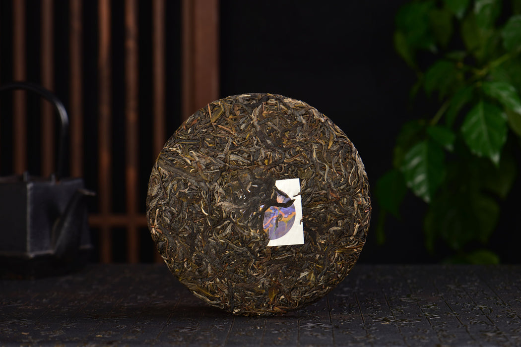 2025 Yunnan Sourcing "Bang Wai Mountain" Raw Pu-erh Tea Cake | Yunnan Sourcing Tea Shop