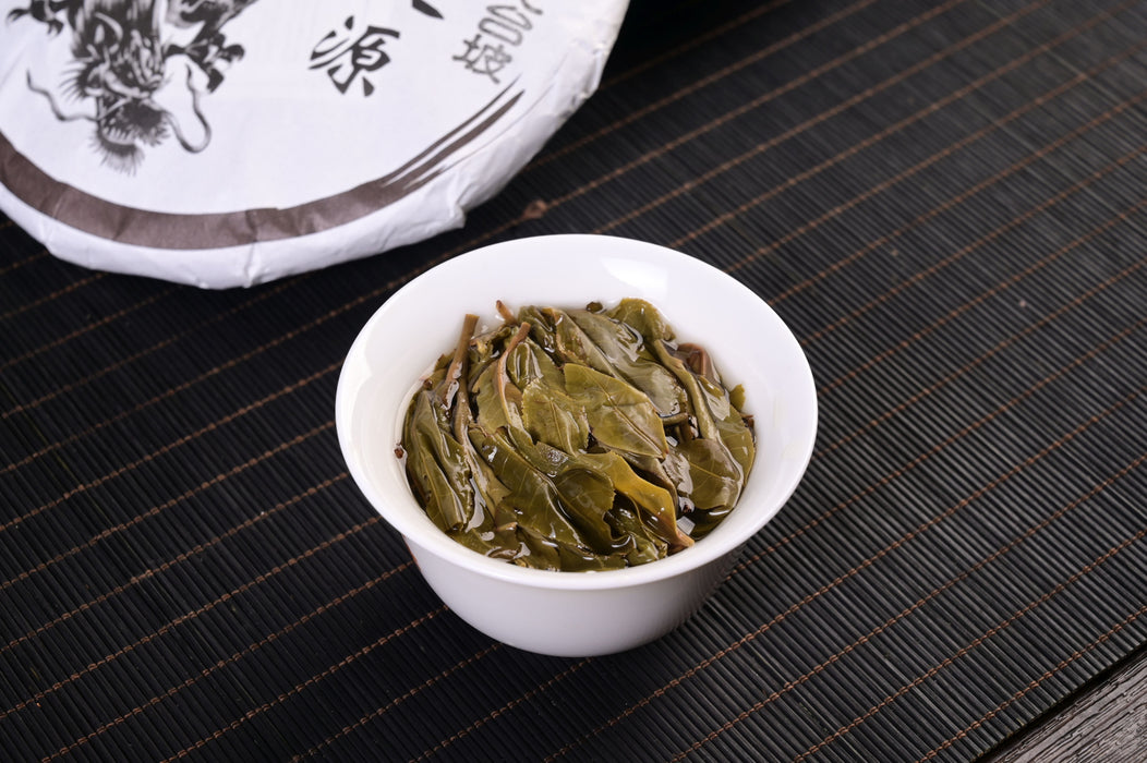 2025 Yunnan Sourcing "Autumn Jiu Tai Po" Old Arbor Raw Pu-erh Tea Cake | Yunnan Sourcing Tea Shop