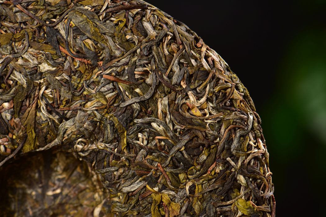 2025 Yunnan Sourcing "Huang Cao Ba Village" Raw Pu-erh Tea Cake | Yunnan Sourcing Tea Shop