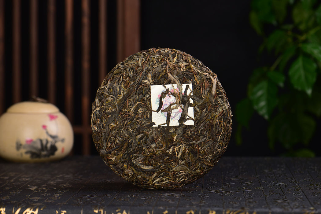 2025 Yunnan Sourcing "Da Qing Gu Shu" Raw Pu-erh Tea Cake | Yunnan Sourcing Tea Shop