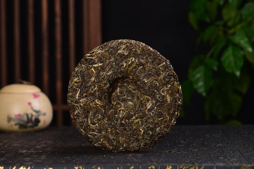 2025 Yunnan Sourcing "Da Qing Gu Shu" Raw Pu-erh Tea Cake | Yunnan Sourcing Tea Shop