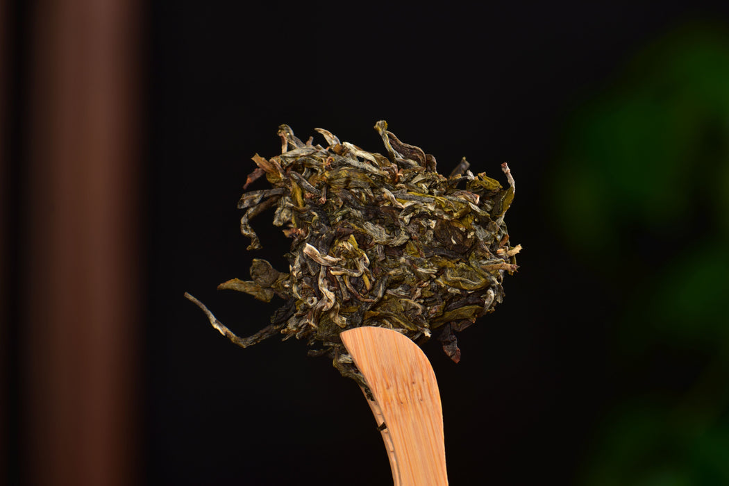 2025 Yunnan Sourcing "Da Qing Gu Shu" Raw Pu-erh Tea Cake | Yunnan Sourcing Tea Shop