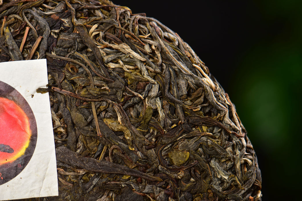 2025 Yunnan Sourcing "Wu Liang Mountain" Wild Arbor Raw Pu-erh Tea Cake | Yunnan Sourcing Tea Shop