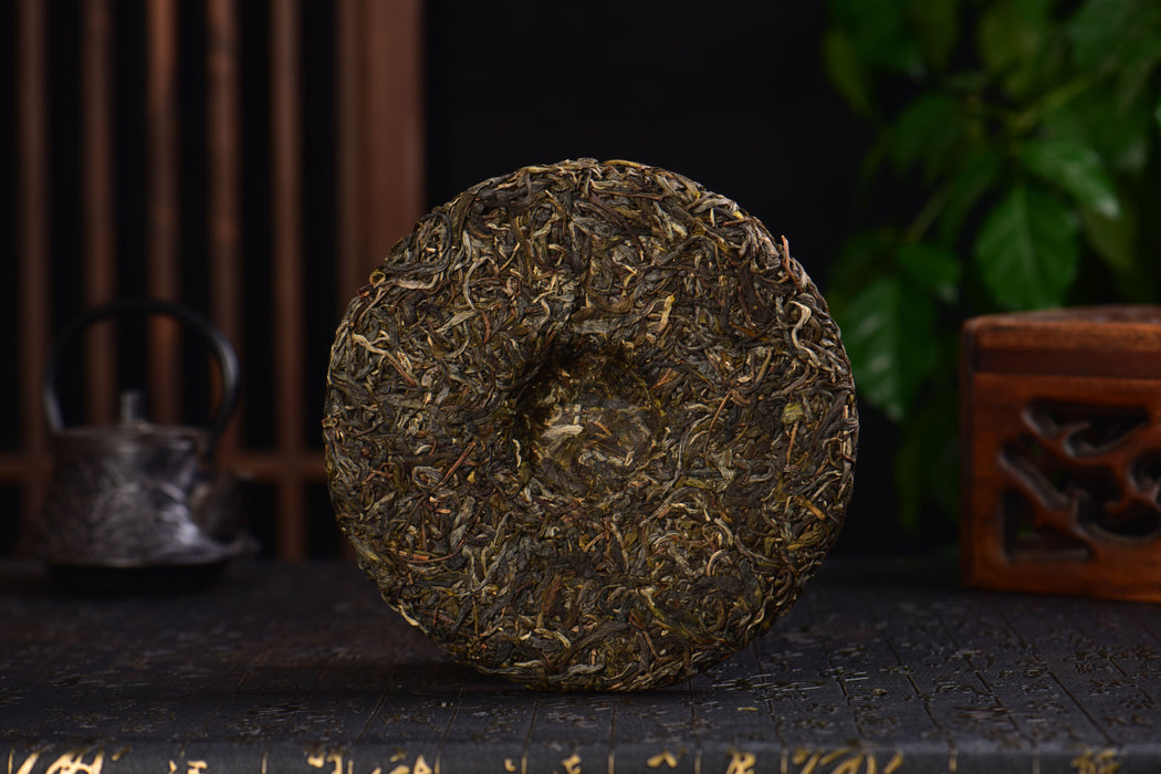 2025 Yunnan Sourcing "Wu Liang Mountain" Wild Arbor Raw Pu-erh Tea Cake | Yunnan Sourcing Tea Shop