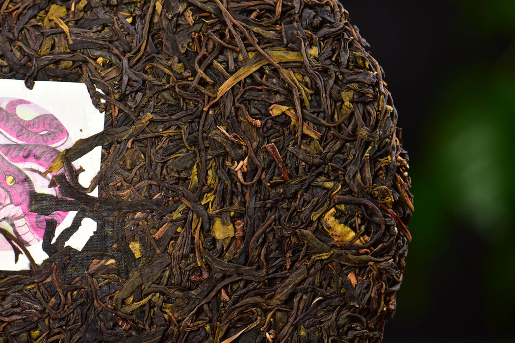 2025 Yunnan Sourcing "Jinggu Ye Sheng Cha" Wild Tree Purple Tea Cake | Yunnan Sourcing Tea Shop