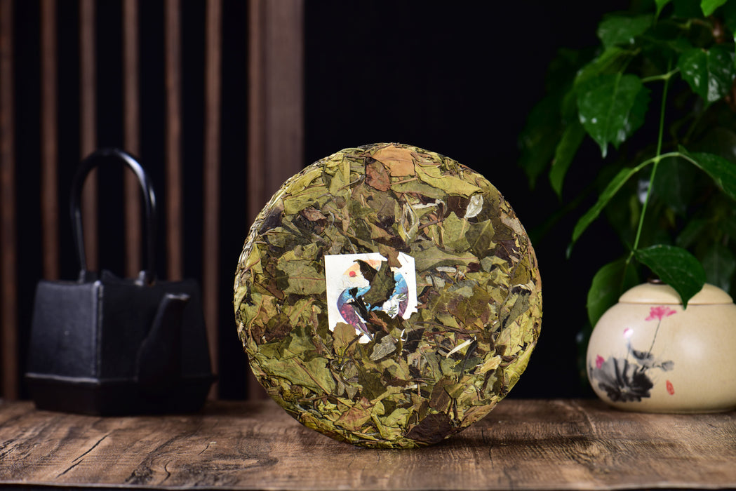 2024 Yunnan Sourcing "Wu Liang Bai Cha" Wild Arbor White Tea Cake