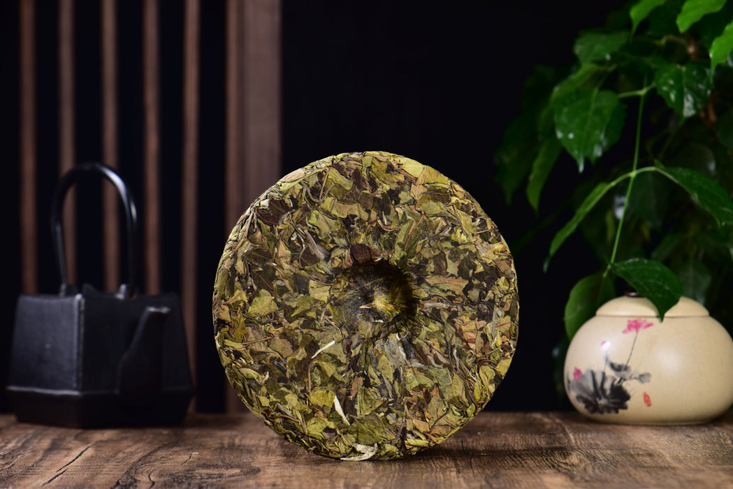 2024 Yunnan Sourcing "Wu Liang Bai Cha" Wild Arbor White Tea Cake