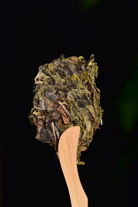 2024 Yunnan Sourcing "Wu Liang Bai Cha" Wild Arbor White Tea Cake