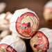 2023 Yunnan Sourcing "Spring Morning" Raw Pu-erh Tea Dragon Balls | Yunnan Sourcing Tea Shop