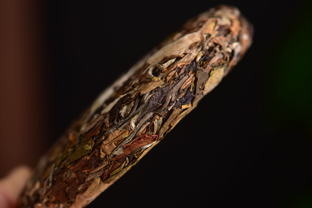 2025 Yunnan Sourcing "Huang Cao Ba Village" White Tea Cake | Yunnan Sourcing Tea Shop