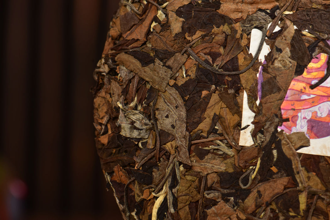 2025 Yunnan Sourcing "Wu Liang Bai Cha" Wild Arbor White Tea Cake | Yunnan Sourcing Tea Shop