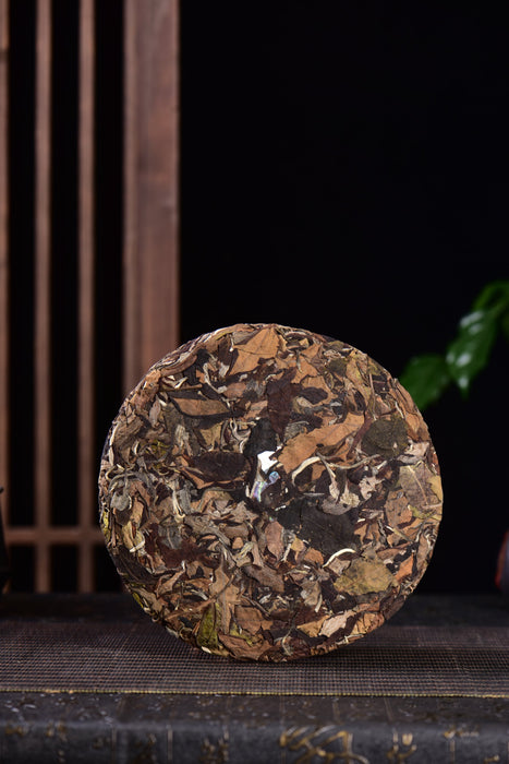 2024 Yunnan Sourcing "Meng Song Village" White Tea Cake | Yunnan Sourcing Tea Shop