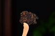 2026 Yunnan Sourcing "Sunset" Ripe Pu-erh Tea Cake | Yunnan Sourcing Tea Shop
