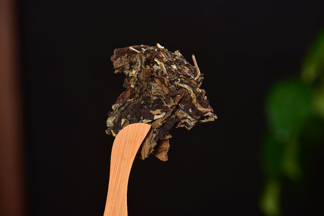 2025 Yunnan Sourcing "Wu Liang Bai Cha" Wild Arbor White Tea Cake | Yunnan Sourcing Tea Shop