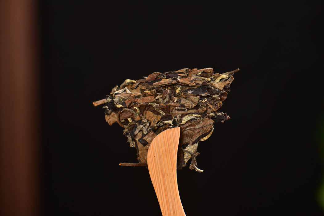 2025 Yunnan Sourcing "Jiu Tai Po Bai Cha" Old Arbor White Tea Cake