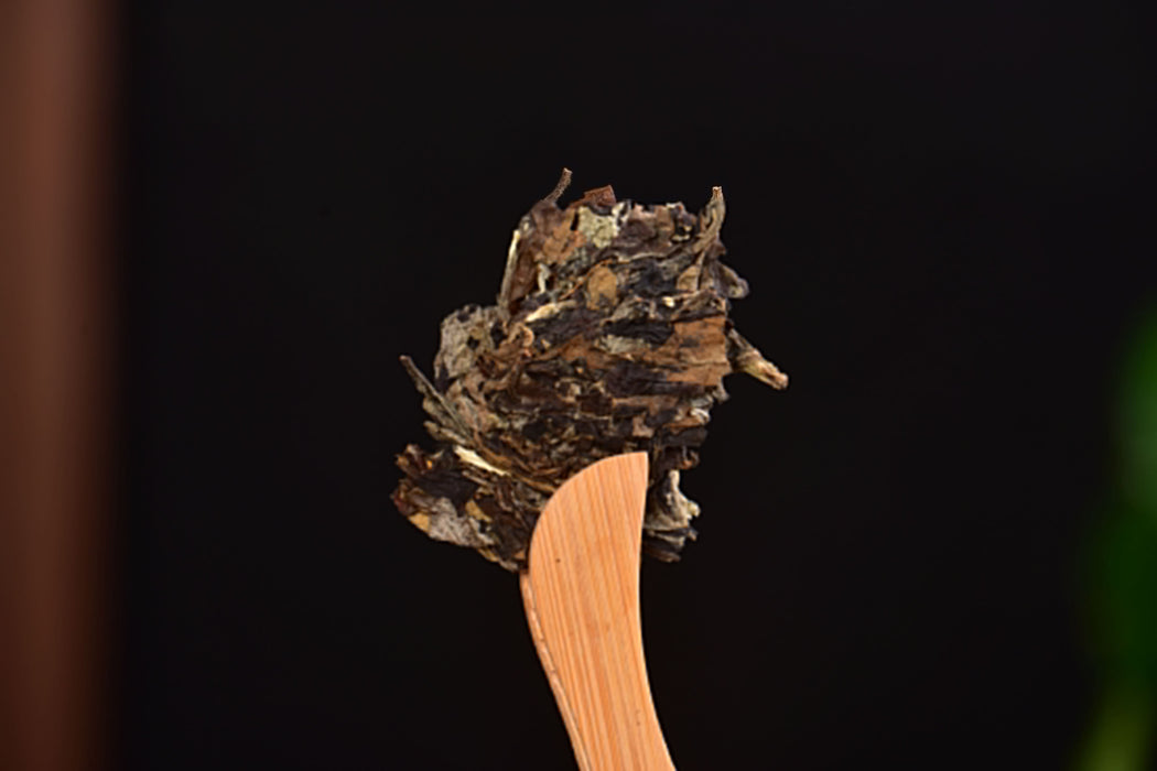 2025 Yunnan Sourcing "Suan Zao Shu" Old Arbor White Tea Cake | Yunnan Sourcing Tea Shop