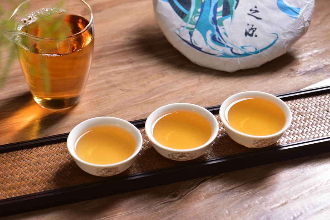 2025 Yunnan Sourcing "Jiu Tai Po Bai Cha" Old Arbor White Tea Cake | Yunnan Sourcing Tea Shop