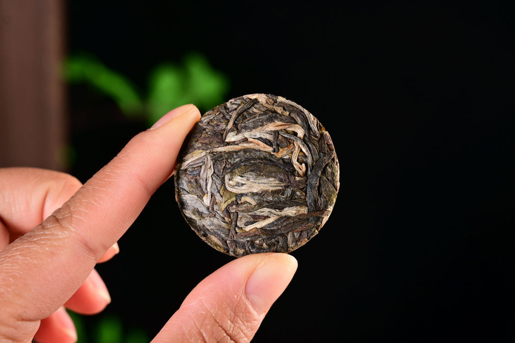 2025 Yunnan Sourcing "Green Label" Wild Arbor Raw Pu-erh Tea Mini Cakes | Yunnan Sourcing Tea Shop