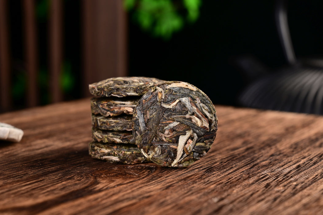 2025 Yunnan Sourcing "Green Label" Wild Arbor Raw Pu-erh Tea Mini Cakes | Yunnan Sourcing Tea Shop